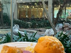 -白虎自助餐厅·真老虎·景观自助餐厅(广州长隆酒店)