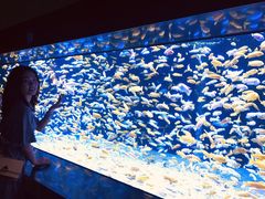 -成都浩海立方海洋公园