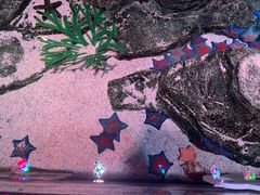 -沈阳海洋探索中心