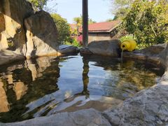 -金孔雀温泉旅游度假村