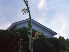 -西郊宾馆·1921餐厅