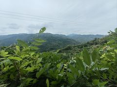 -四明山国家森林公园