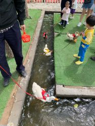 -上美四季动物农场