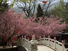 -石岛赤山风景区