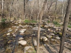 -玉渡山自然风景区