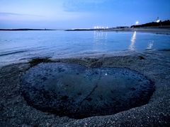 -日照灯塔风景区