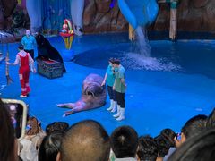 -烟台海昌鲸鲨海洋公园