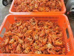瞿记卤虾-聚味瞿记·龙虾堂(树木岭店)