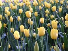 -长春公园(普阳街道)