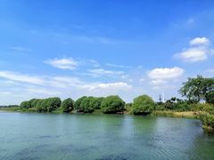 -贡湖湾湿地公园
