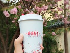 -鸡鸣赐茶(鸡鸣寺路店)