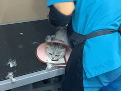 -美联众合动物医院(唯恩分院)