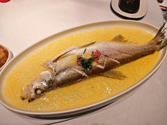 鸡汁白鱼-森隆饭庄(崇文门新世界百货店)