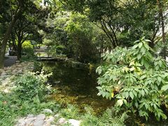 -成都市活水公园