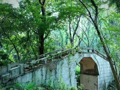 -青龙山国家森林公园