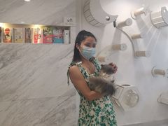 -楼上猫咖(罗湖店)