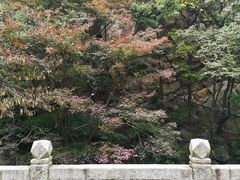 -尧山风景区