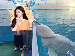 -蓬莱欧乐堡海洋极地世界