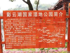 -重庆彩云湖湿地公园