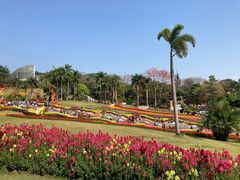 -广州市白云山风景名胜区