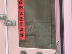 -全心全意连锁动物医院(加州店)