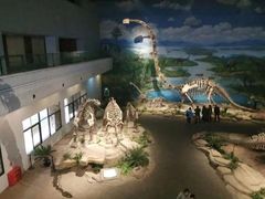 -自贡恐龙博物馆