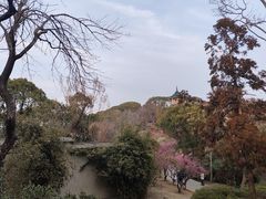 -无锡梅园公园
