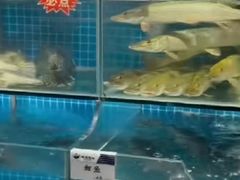 -胖姐渔村(中源大道店)