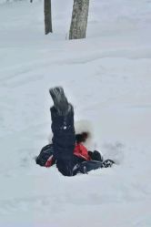 -大秃顶子山