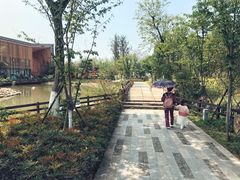 -田园东方蜜桃村的田野营地