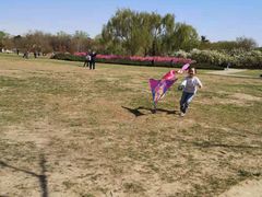 -朝阳公园游乐园