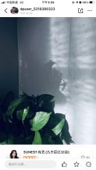 -尚艺造型.剪烫染.接发
