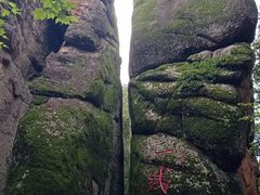 -汤旺河林海奇石景区