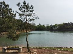 -南京市无想山景区