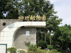 -柳州市动物园