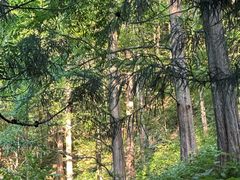 -东天目山风景区