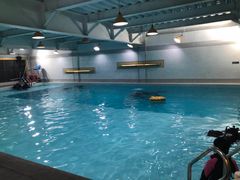 -上海潜殿潜水中心