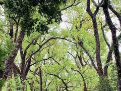 -桂林独秀峰王城景区