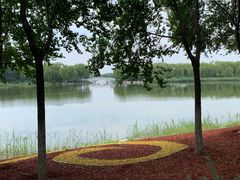 -大兴滨河森林公园