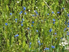 -扁都口生态休闲旅游区