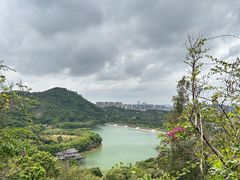 -水濂山森林公园