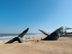 -烟台金沙滩海滨公园