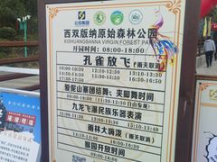 -西双版纳原始森林公园