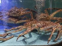 -阿伟海鲜楼·福建菜(延寿店)