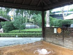 -春晖园度假酒店温泉