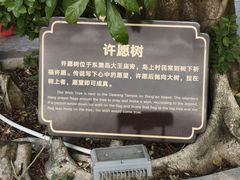 -东澳岛