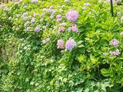 -里口山风景名胜区