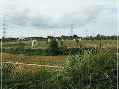 -紫颐香薰山谷景区