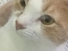 -总动员动物医院(宝丰院店)