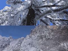-尧山风景区